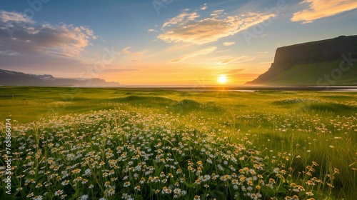 Idyllic Summer Sunset Over Lush Green Field with Wildflowers and Majestic Cliffs