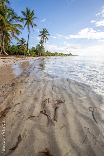 Fototapeta Naklejka Na Ścianę i Meble -  Romantic Caribbean sandy beach with palm trees, turquoise sea. Morning landscape shot at sunrise at Plage de Bois Jolan, Guadeloupe, French Antilles