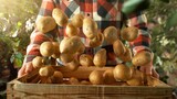 Closeup of Farmer Holding Wooden Crate with Falling Potatoes.