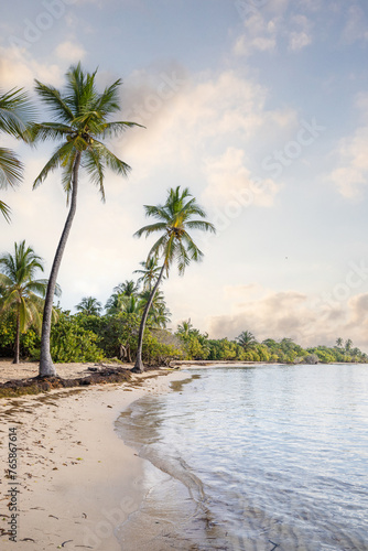 Romantic Caribbean sandy beach with palm trees  turquoise sea. Morning landscape shot at sunrise at Plage de Bois Jolan  Guadeloupe  French Antilles