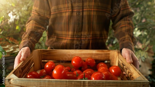 Closeup of Farmer Holding Wooden Crate with Tomatoes.