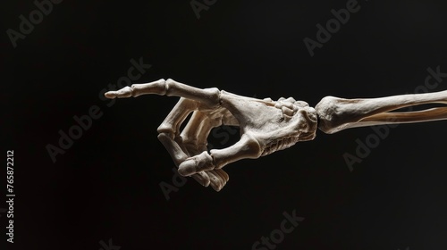 Skeletal hand illustration with extended finger, concept of anatomy, direction, and human biology