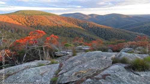  a view of a mountain range with trees in the foreground and rocks in the foreground in the foreground.