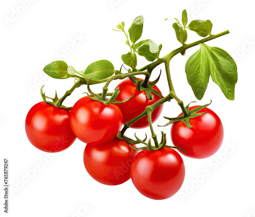 Fresh delicious tomatoes on branch, cut out