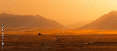 Dawn, desert and camel, dust with light © SHI
