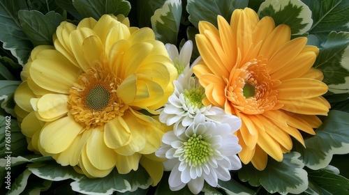  a close up of a bunch of flowers with leaves on the side of the flowers and in the center of the flowers is a yellow  white  yellow  and white  and green  and green flower.