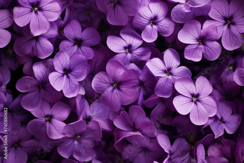 purple flowers  top view  background   reated with Generative Ai
