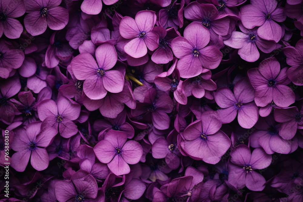 purple flowers, top view, background сreated with Generative Ai purple flowers, top view, background сreated with Generative Ai
