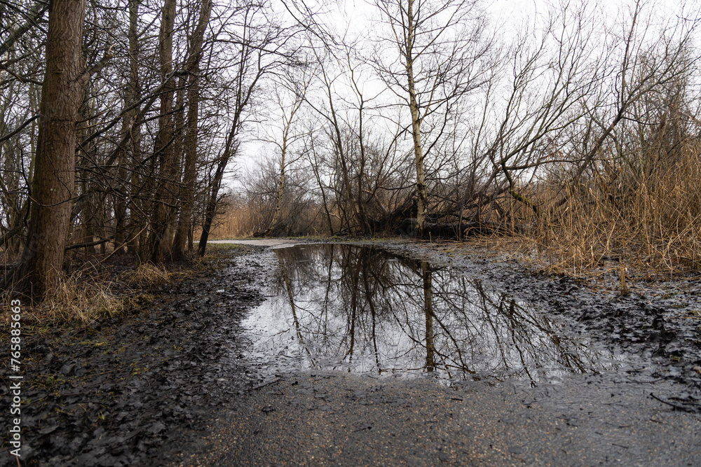Large puddle on the road in the park. Large puddle on the road in the park.