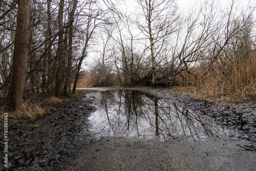 Large puddle on the road in the park.
