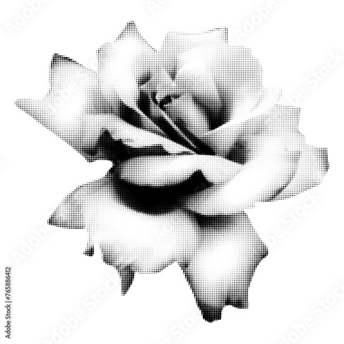 Blooming rose halftone collage element. Vintage punk dotted flower, retro modern floral clip art for mixed media design. Vector illustration isolated on transparent background