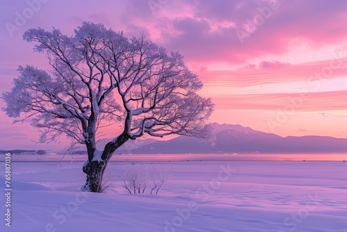 Winter daybreak scenery of Harunire tree at Toyokoro town in Hokkaido prefecture, Japan