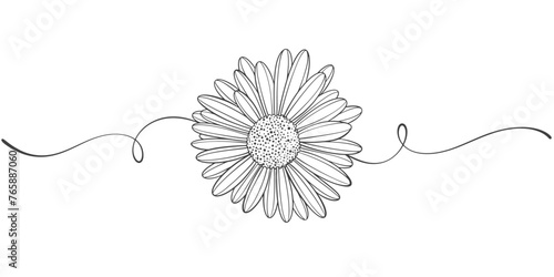 Daisy flower line art style vector illustration