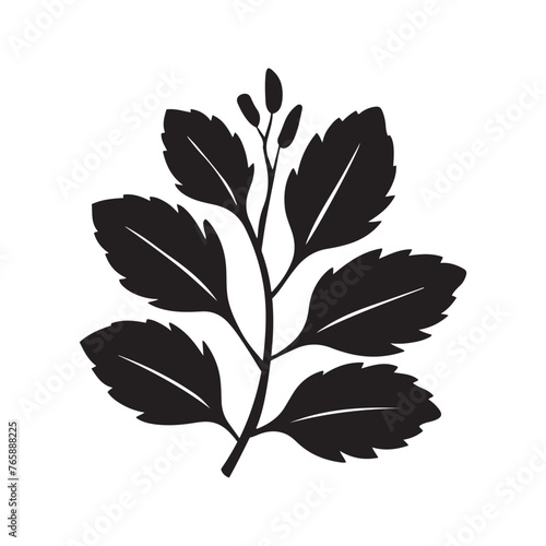 Silhouette of branch with leaves from young tree isolated on a white background © Sheuly