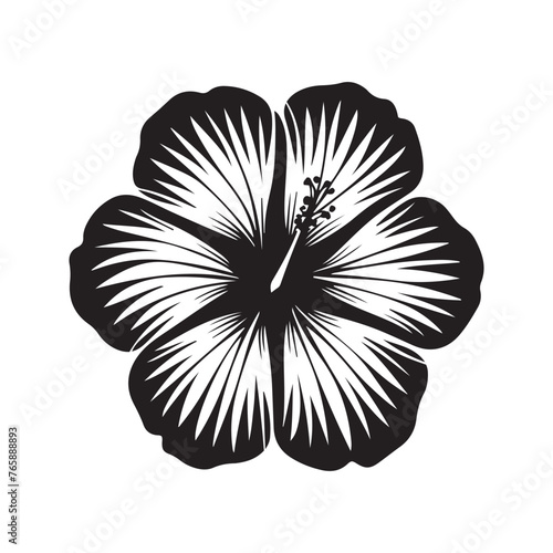 Fototapeta Naklejka Na Ścianę i Meble -  hibiscus flower vector with black and white