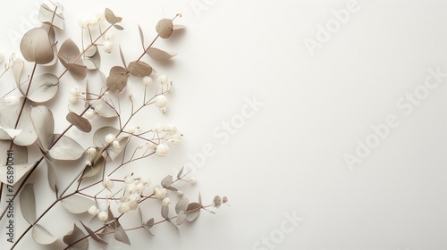 Elegant Minimalist Floral Arrangement on White Background for Design