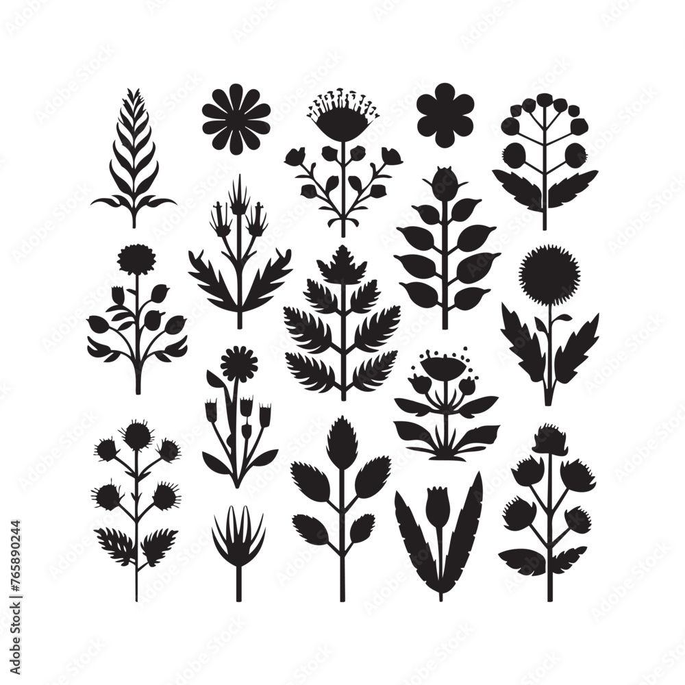 Wild meadow herbs flowering flowers Vector Silhouettes Collections Vector Art Illustration