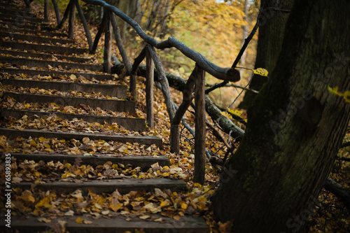 Wooden stairs immersed in the warm hues of autumn leaves, creating a captivating and nostalgic atmosphere