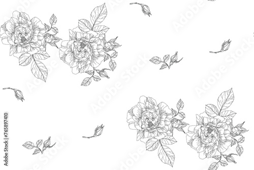 Pattern of flowers and rose leaves in vintage style on a transparent background