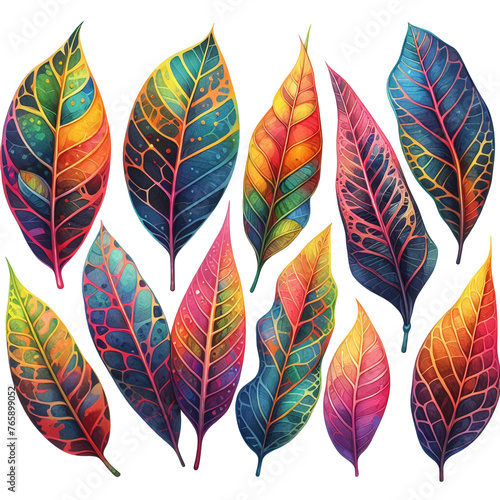 Set autumn leaves of different shapes and colors for printing in books on fabric and different backgrounds.