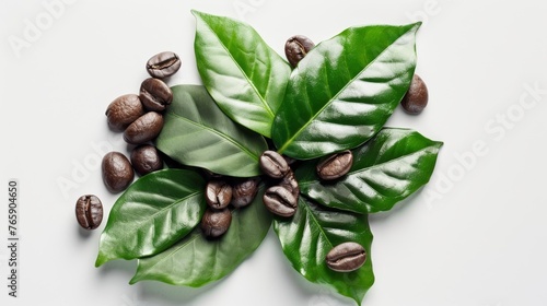 Coffee beans and green leaves flat lay composition on a white background.