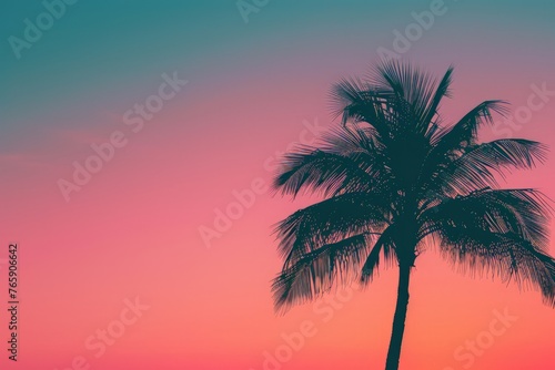 A palm tree stands as a dark silhouette against a vibrant pink and blue sky, creating a striking contrast © pham