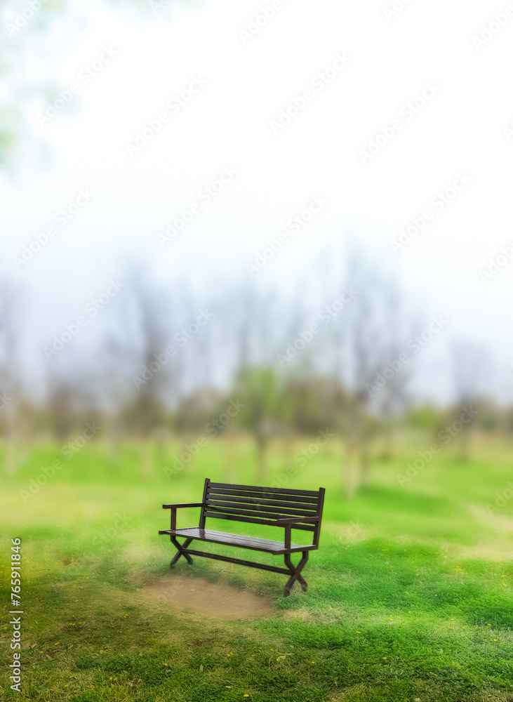 Bench placed in grass in the park with bokeh