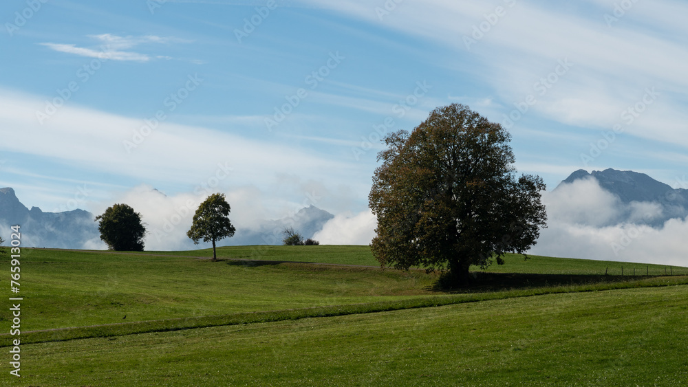 Im Allgäu in Oberbayern