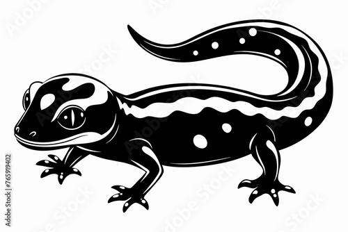 Fattail Gecko, full body ,  high deta silhouette vector illustration  photo