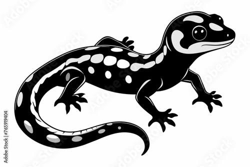 Fattail Gecko  full body    high deta silhouette vector illustration 