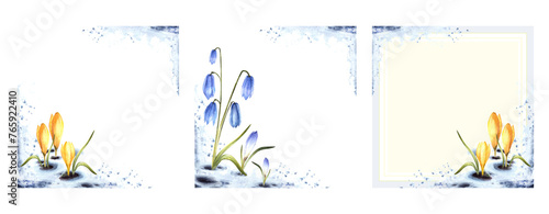 Watercolor painting spring primary flowers blue scylla  crocuses  yellow saffron sprouting through the snow. Melting snow springtime landscape card set template Isolated Watercolor splashes background