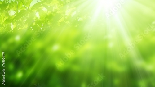 rays of the sun penetrating through the green leaves, emphasizing liveliness and new life