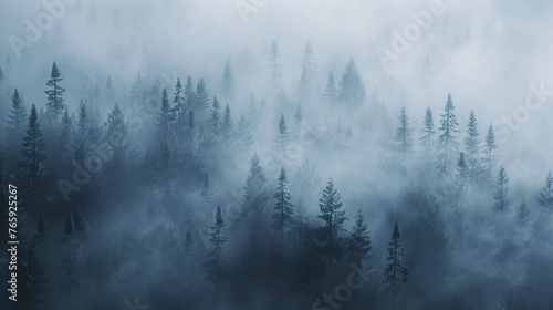 Mystical Fog in Dense Forest photo