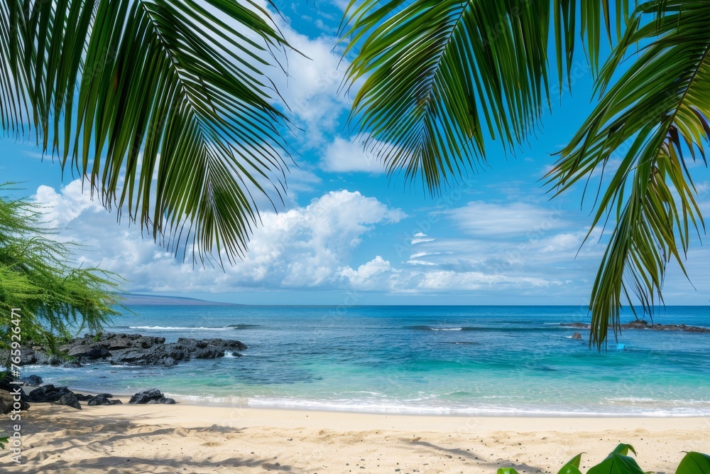 Naklejka premium palm tree leaves sand beach and sky landscape