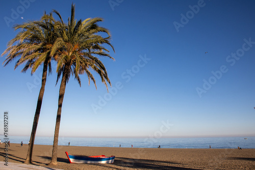 The golden sands of Estepona beach kissed by the gentle waves of the Mediterranean. Palm trees dance gently under the sky  a landscape of serenity and coastal beauty. Estepona  Spain