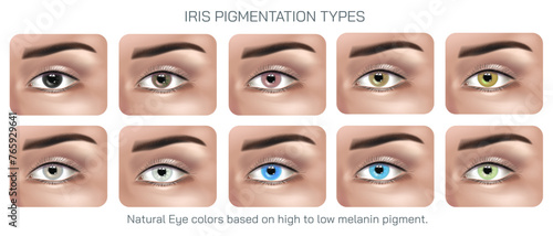 The amount and distribution of melanin in the iris determine the colour of a persons eye. Melanin is a pigment that gives colour to the eyes. Melanin is primarily found in the iris Vector illustration