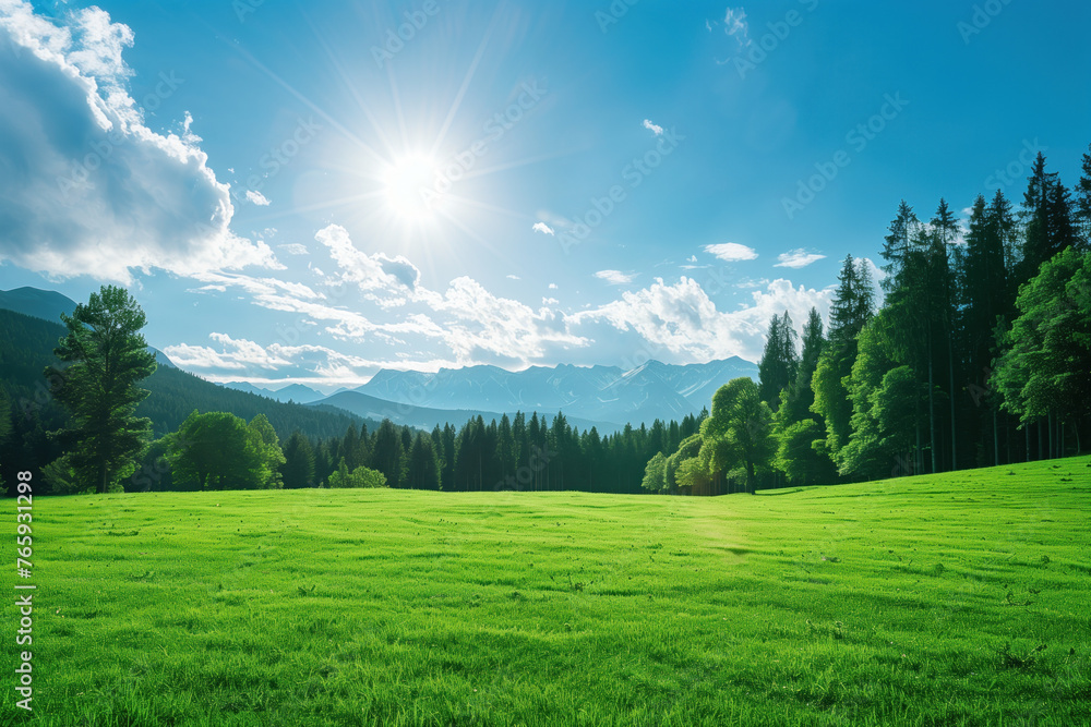 Sunlit mountains and green meadow Sunlit mountains and green meadow