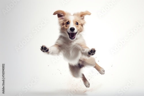 Playful dog jumping, smiling and having fun on white background