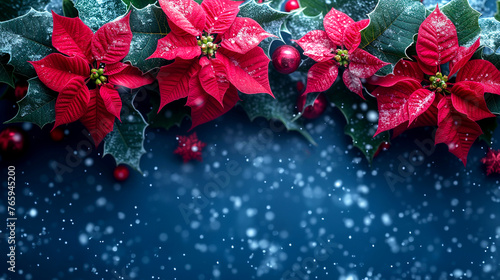 Christmas background with poinsettia flowers and snow. Filtered image