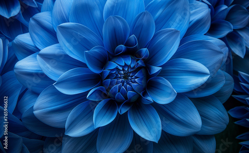Blue Blossom: Close-Up Beauty for Floral Backgrounds