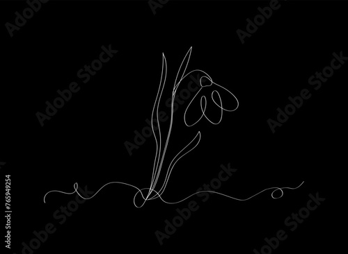 A snowdrop flower in a linear style. Vector design 