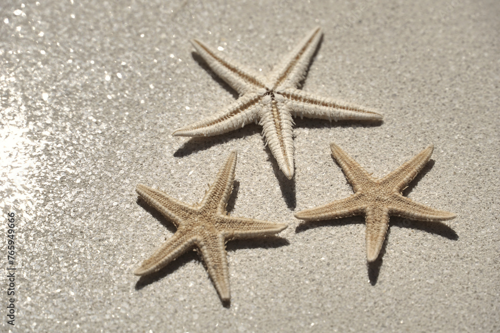Starfish on a sandy surface with a reflection of light Starfish on a sandy surface with a reflection of light