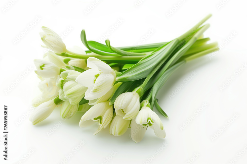Elegant White Tulips Bouquet”