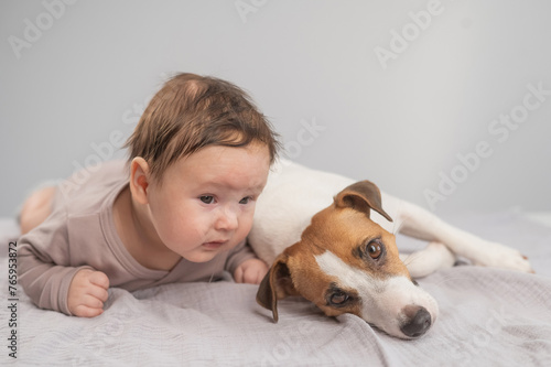 Portrait of a baby lying on his stomach and a Jack Russell Terrier dog.