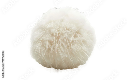A white fluffy ball isolated on white or transparent background