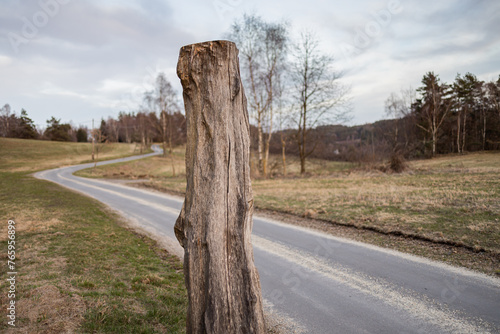 Cut old tree stump with rural asphalt road - Czech Canada, Czechia