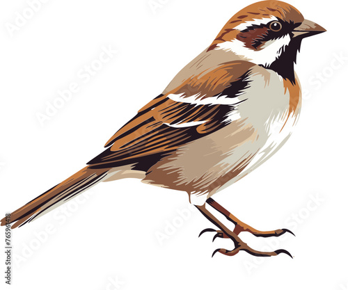 Majestic Sparrow Vector Art © The biseeise