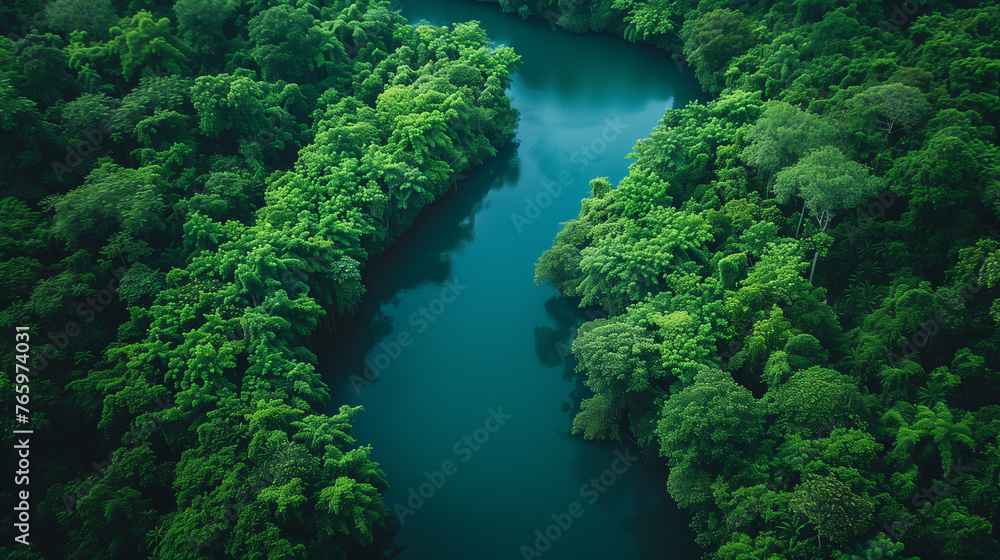 Clear river running through a lush green jungle in Soth America Clear river running through a lush green jungle in Soth America