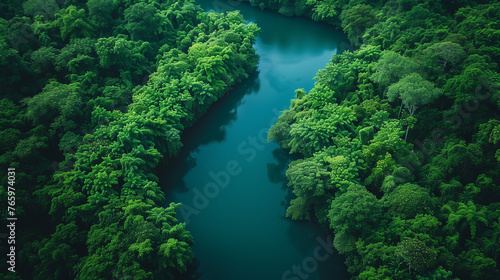 Clear river running through a lush green jungle in Soth America © redgun