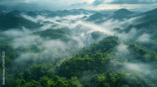 Serene scene at dawn with must covering lush green forest © redgun